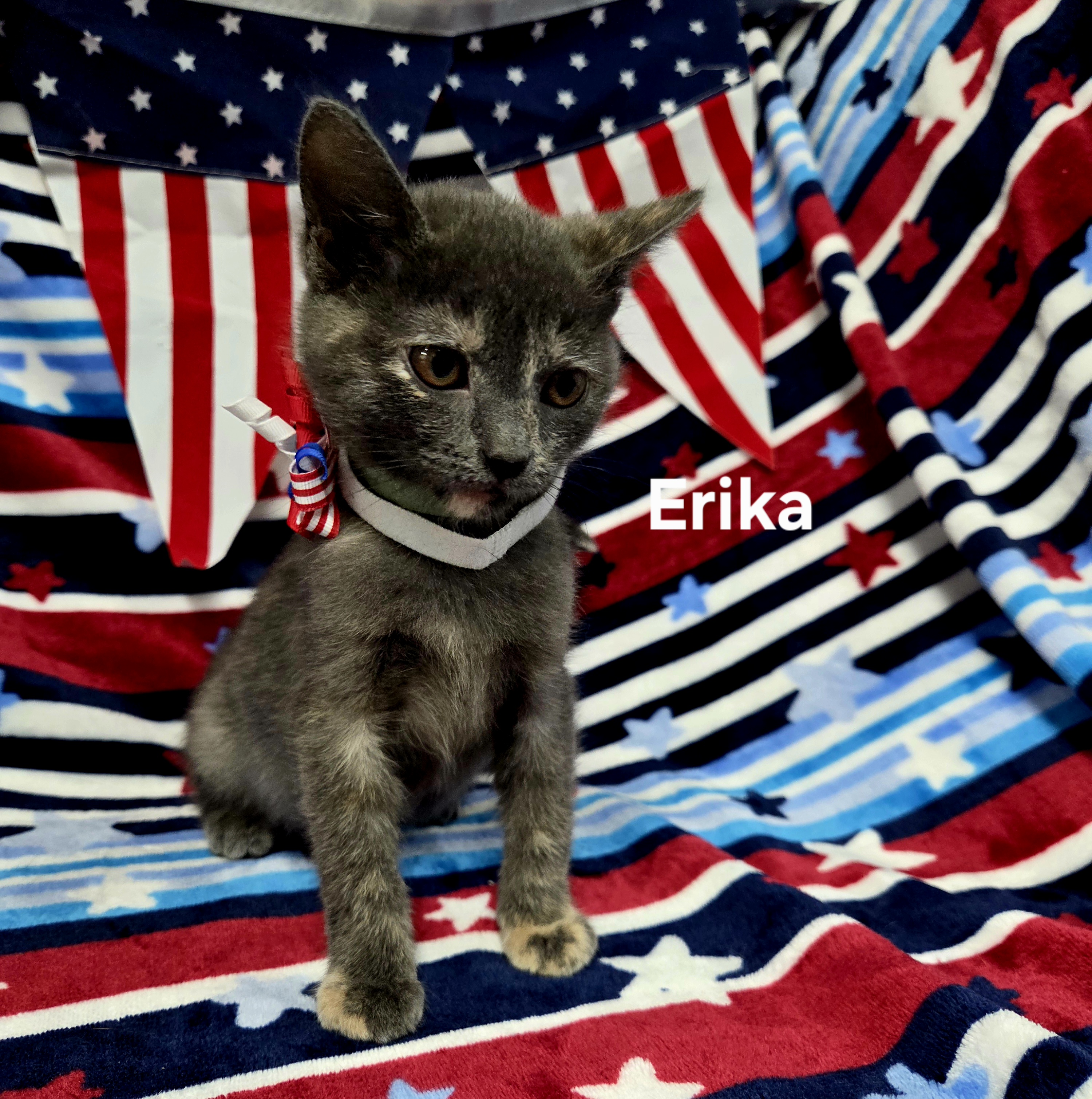 Erika